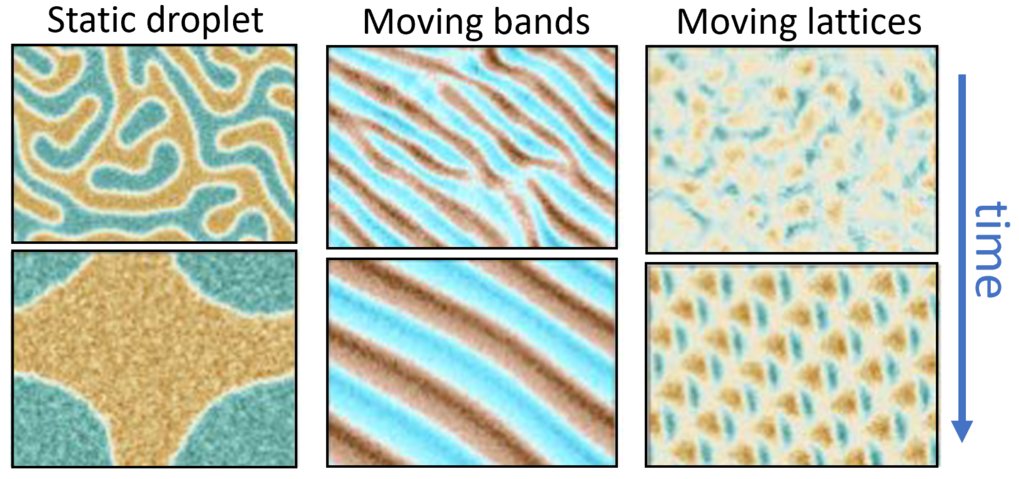 Scalar Active Mixtures: The Nonreciprocal Cahn-Hilliard Model